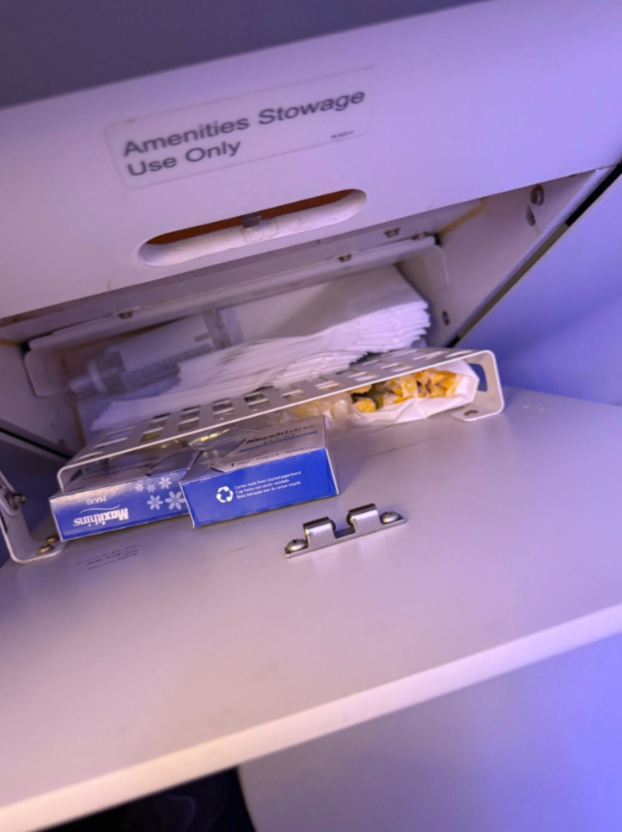 Tajna u avionu: Putnica otkrila pretinac s besplatnim ulošcima