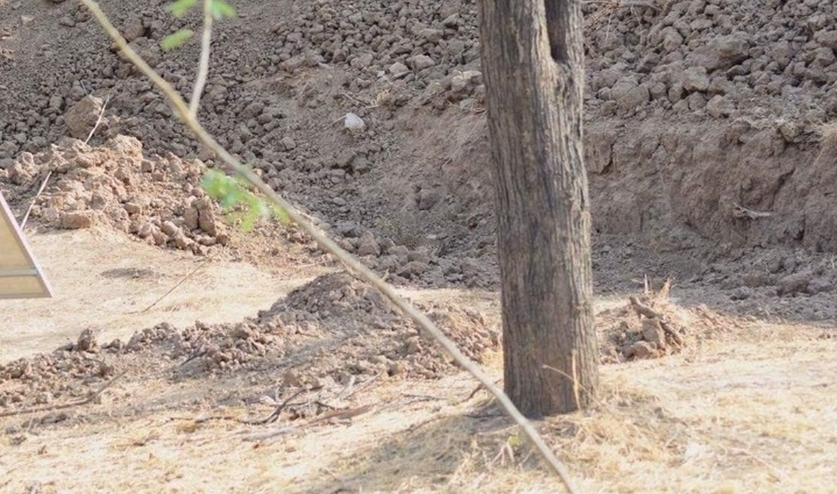 Ova fotka izluđuje internet, vidite li vi leoparda na njoj? "Odlično se sakrio"