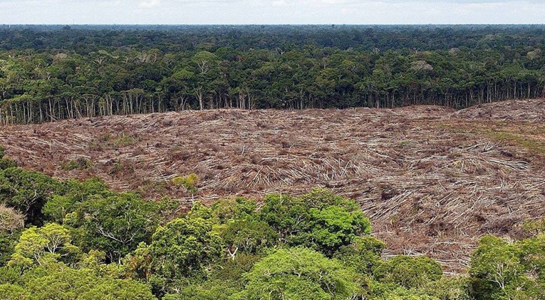 U Amazoniji u pola godine uništeno područje veliko kao pet New Yorka