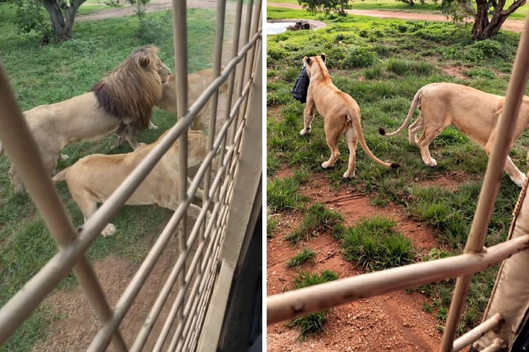 "Curo, jesi li realna?": Lavica iščupala jaknu ženi, ona tražila da netko ode po nju