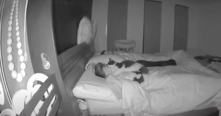 Nadzorna kamera snimila mačka koji noću pokušava zagrliti svog usnulog vlasnika