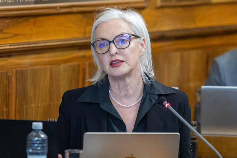 Radojčić: Ne znamo može li cementara u Istri spaliti otpad iz Gospića bez rizika