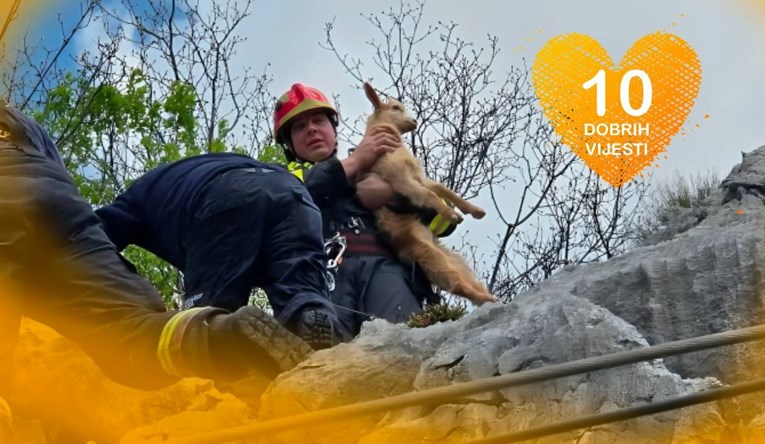 10 dobrih vijesti tjedna