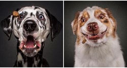 FOTO Ovako izgledaju psi dok love keksiće. Prizori su urnebesni