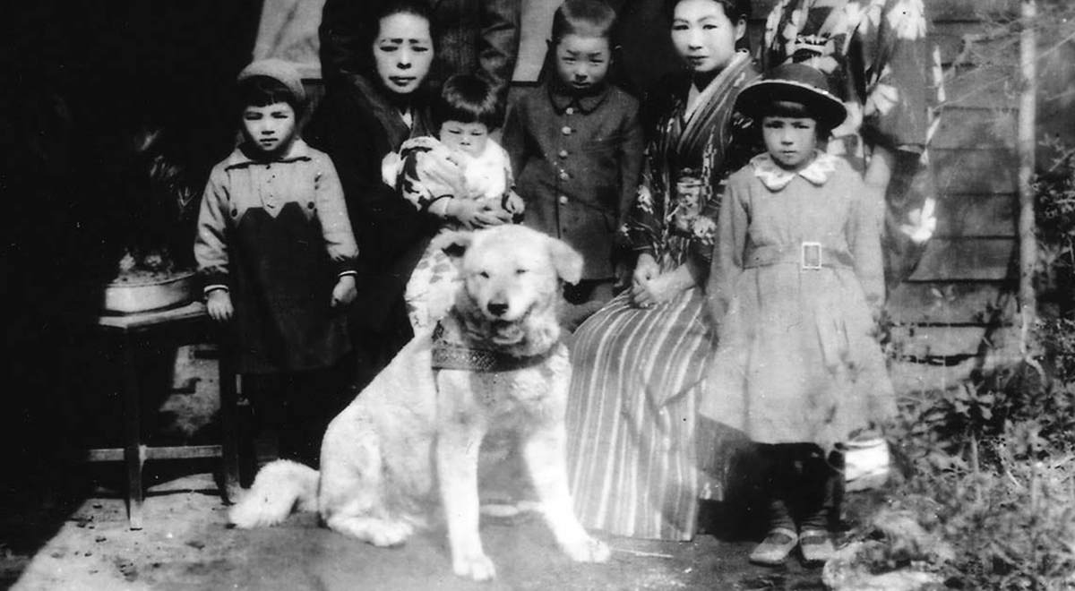 Bio je najvjerniji pas na svijetu. I danas mnogi plaču na njegovu priču