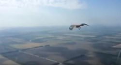 Pilot snimio trenutak u kojem se ptica zabija u staklo aviona, nije lijep prizor
