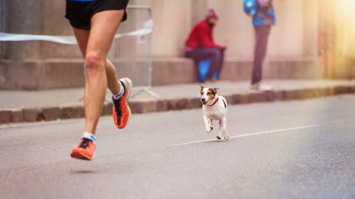 Prijavite se na humanitarnu utrku PluTrka i dobro se zabavite