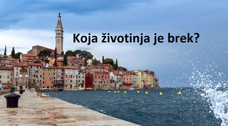 Ako niste iz Istre, ovaj kviz bi vas mogao namučiti. Znate li što znače ove riječi?