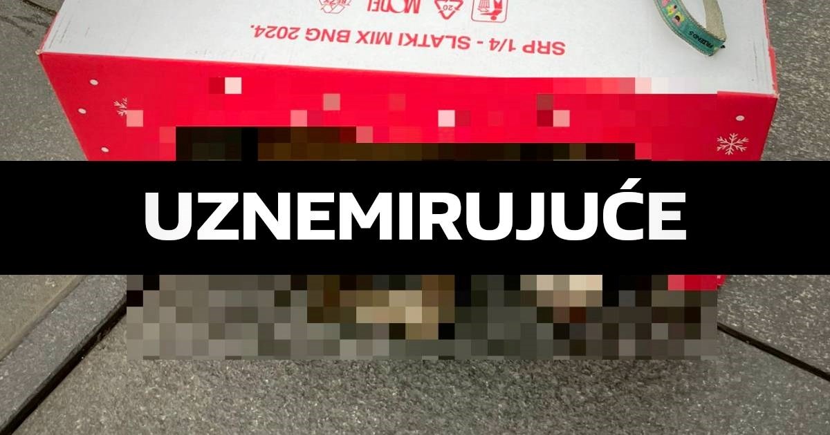 Tramvaj u centru Zagreba pregazio psa. "Namjerno ga je zgazio, vukao ga je po cesti"