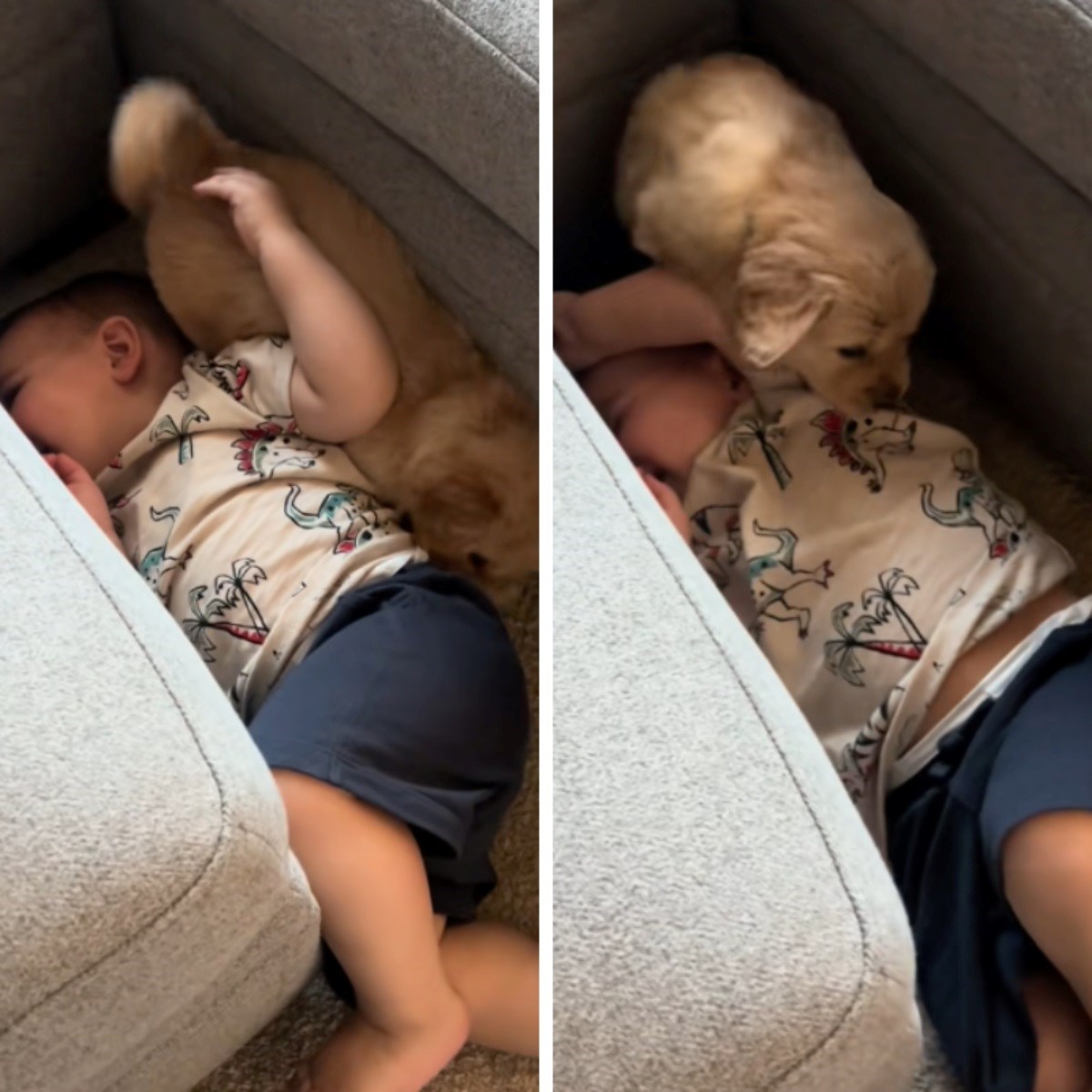 Mama snimila presladak trenutak između sina i psića, izmamit će vam osmijeh na lice