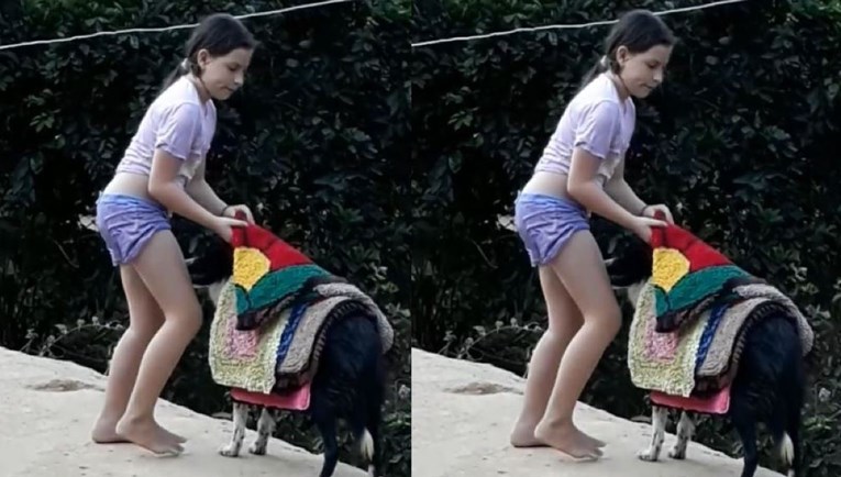Majka uhvatila obiteljskog psa kako pomaže kćeri skidati tepihe s konopca