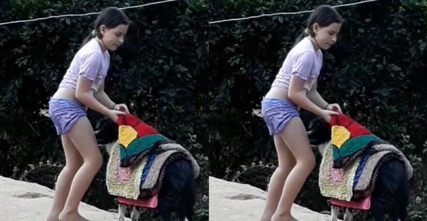 Majka uhvatila obiteljskog psa kako pomaže kćeri skidati tepihe s konopca