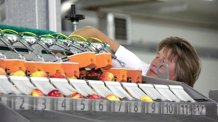 Zapela gradnja centra za voće i povrće u Podravini