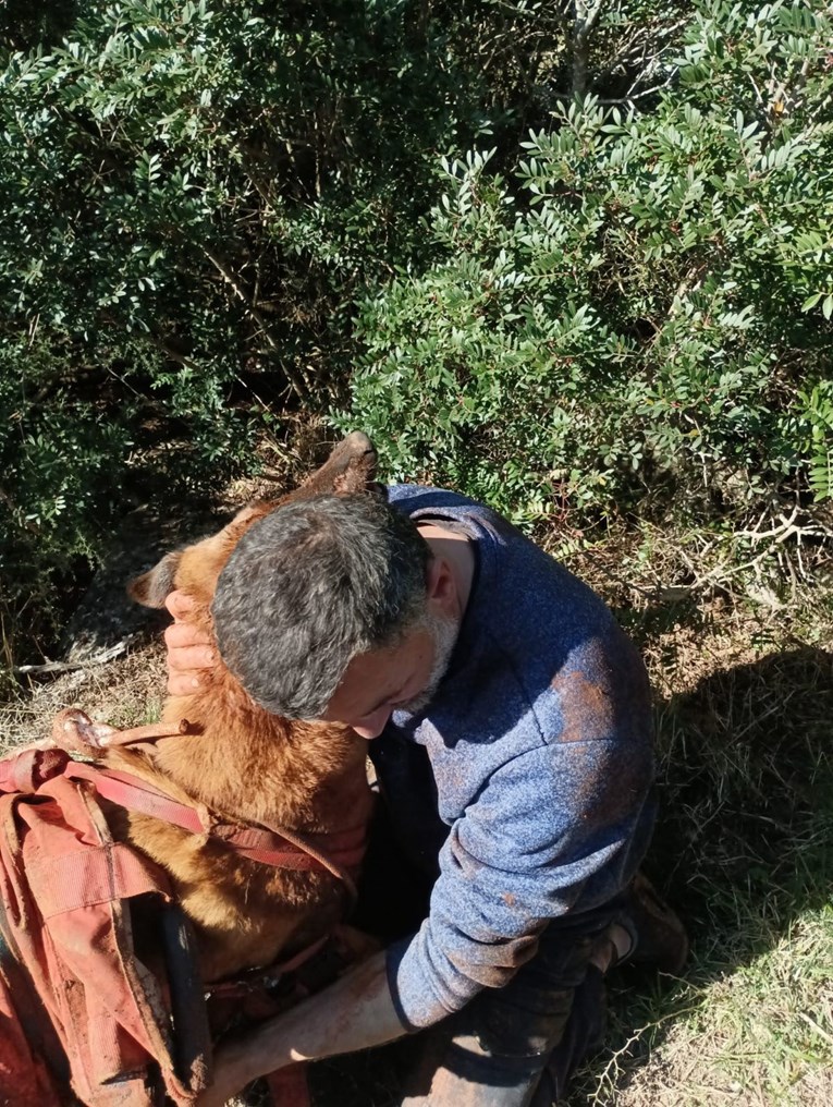 FOTO Vlasnik i pas upali u 20 metara duboku jamu na Dugom otoku. Spasio ih HGSS