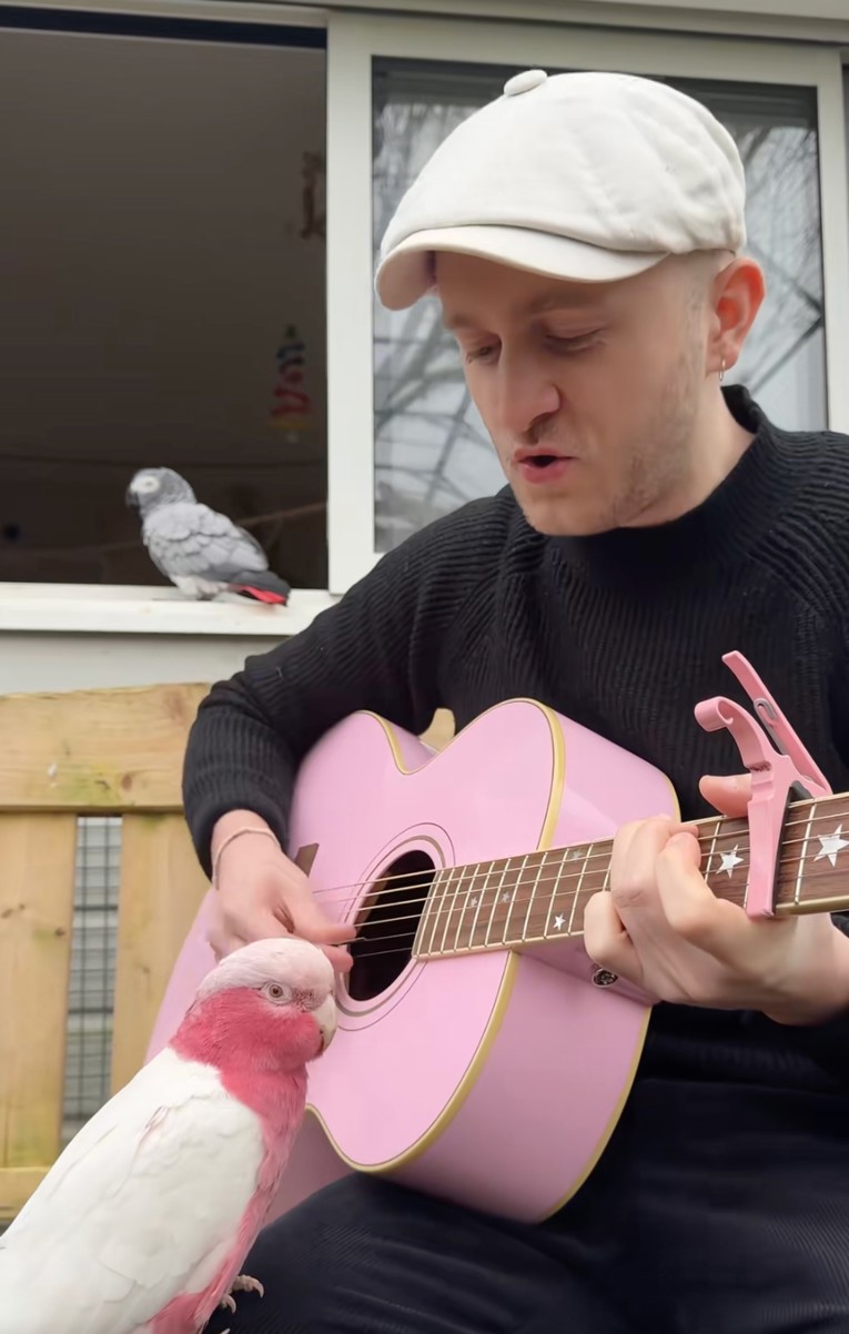 Oproštaj od Dolly Parton kakav nismo očekivali: Papige "zaplesale" uz Jolene