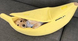 Izležavanje nikad nije izgledalo slađe: Amu obožava svoj krevetić u obliku banane