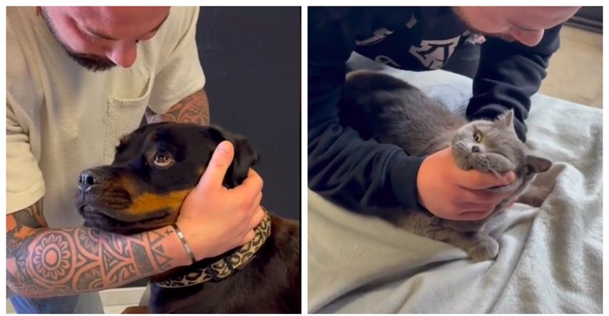 Reakcije ljubimaca na tretman kod kiropraktičara nasmijale TikTok: "Pas se restartao"
