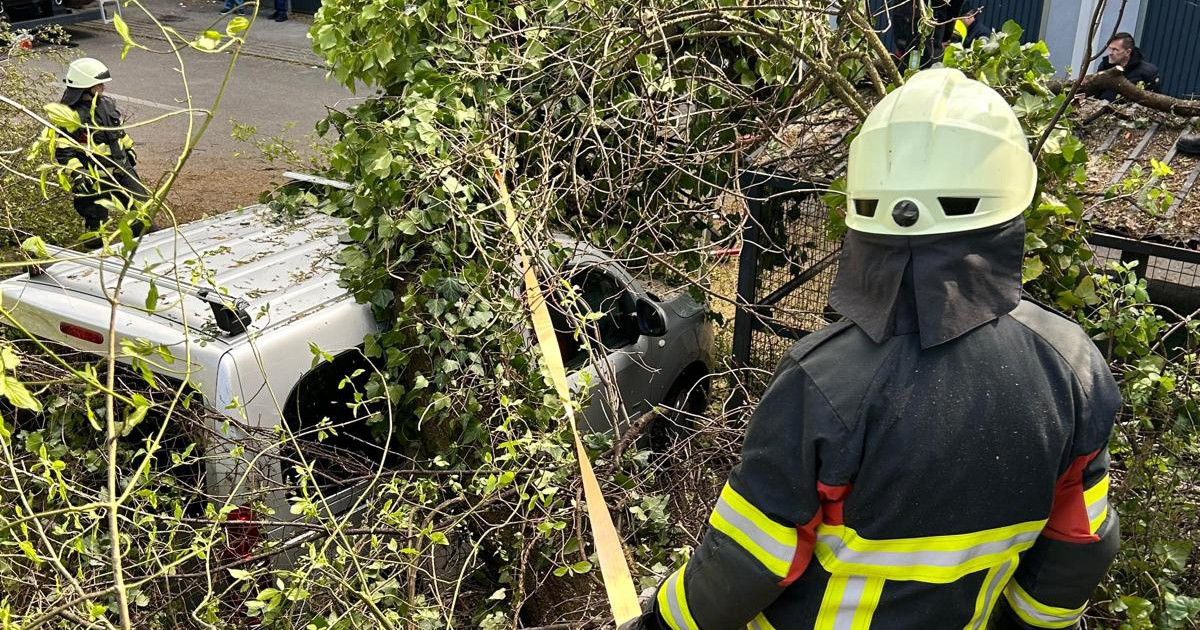 Vatrogasci saniraju posljedice nevremena, iz drugih mjesta još stižu u pomoć Zagrebu