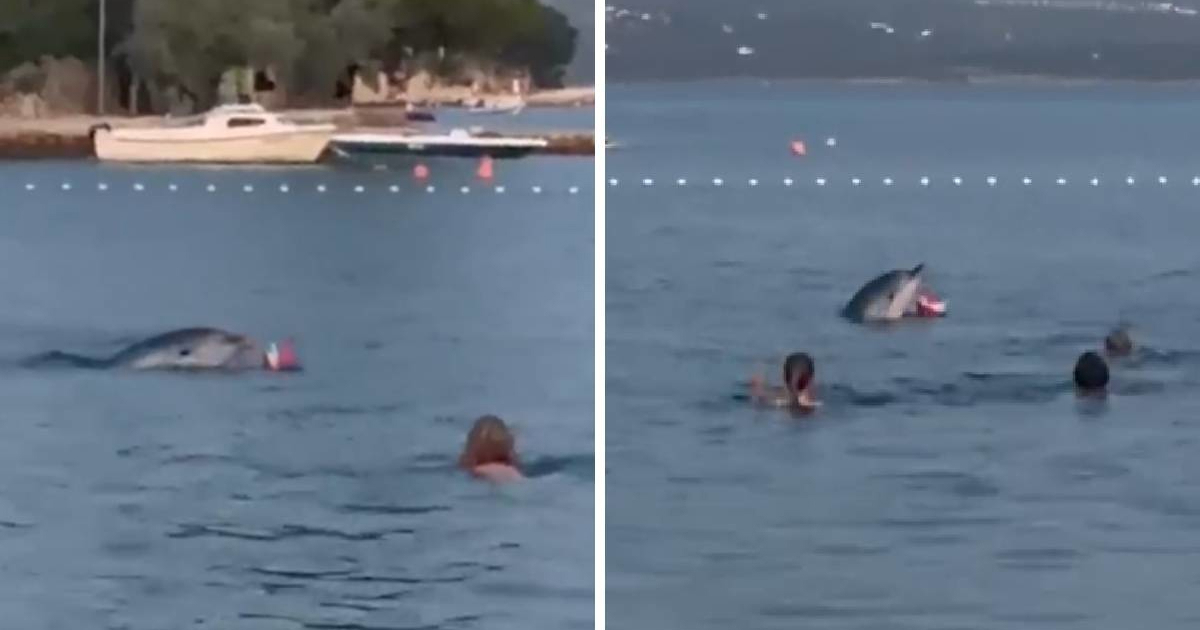 Dupin Oliver povukao kupača pod vodu. Iz Instituta Plavi svijet poslali upozorenje