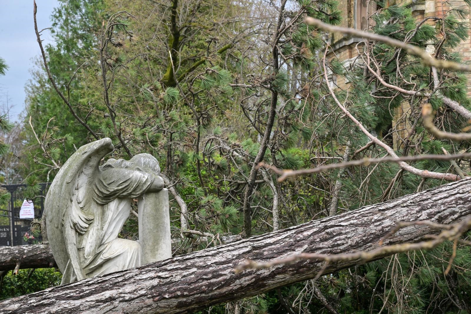 FOTO Vjetar rušio stabla na Mirogoju, oštećeni i grobovi