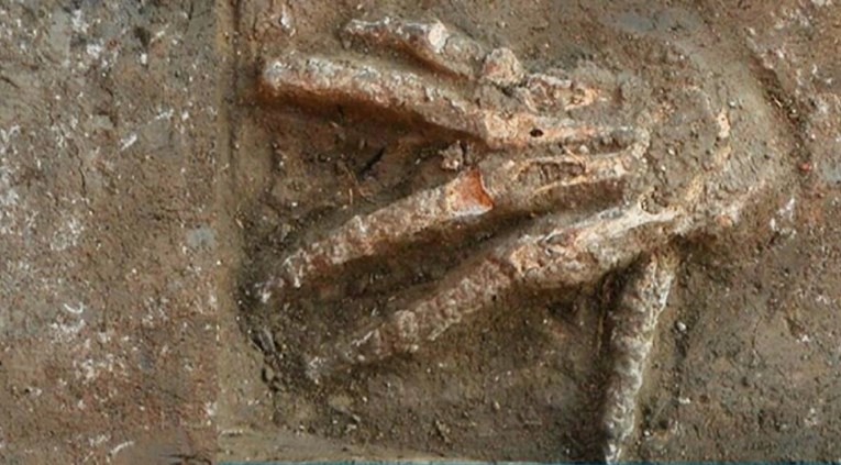 FOTO Ostaci jezivog rituala iz drevnog Egipta: Pronađena jama s odsječenim rukama 