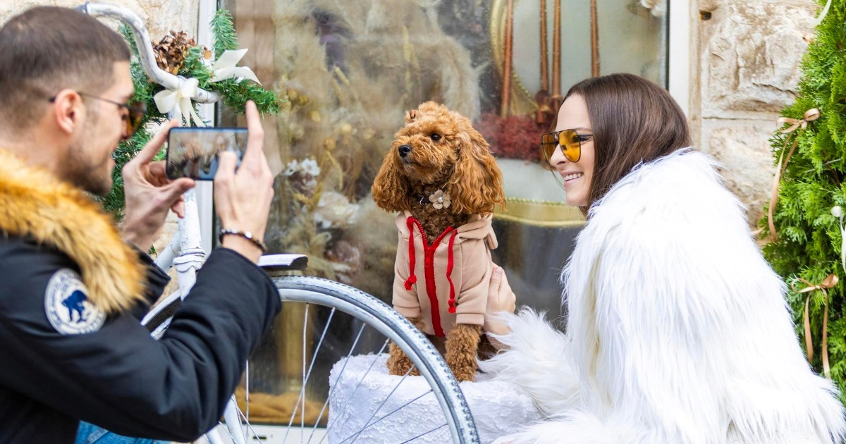 FOTO Veseli pas Asi mami prolaznike ispred pulske cvjećarnice