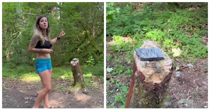 Kampirali u šumi pa pronašli jezivu poruku na kamenu, priča postala viralna