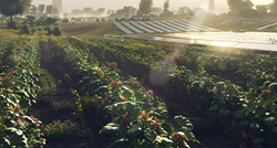Agrosolari - tehnologija s puno nepoznanica
