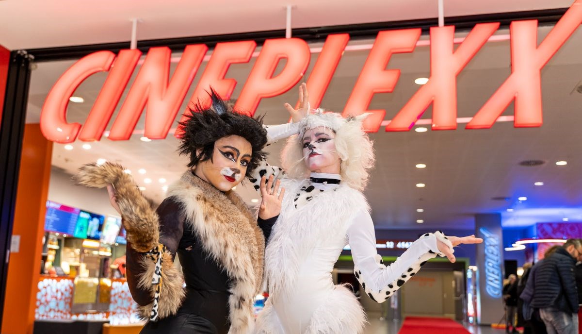 CATS - najbolje mačke u gradu!