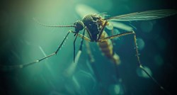 Izdano upozorenje na komarce za ljude koji putuju u Aziju