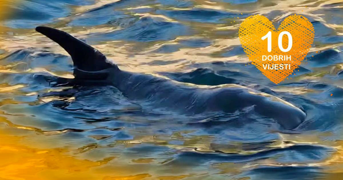 10 dobrih vijesti tjedna