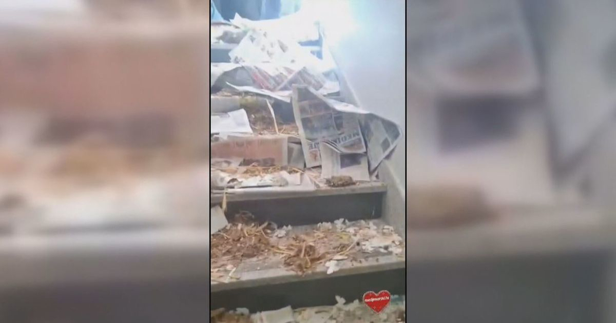 FOTO Maturanti ostavili kaos i smeće u školi u Prelogu nakon zadnjeg dana nastave
