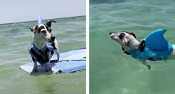 Žena vozila deset sati da bi se njen pas prvi put okupao u moru: "Obožava surfati"