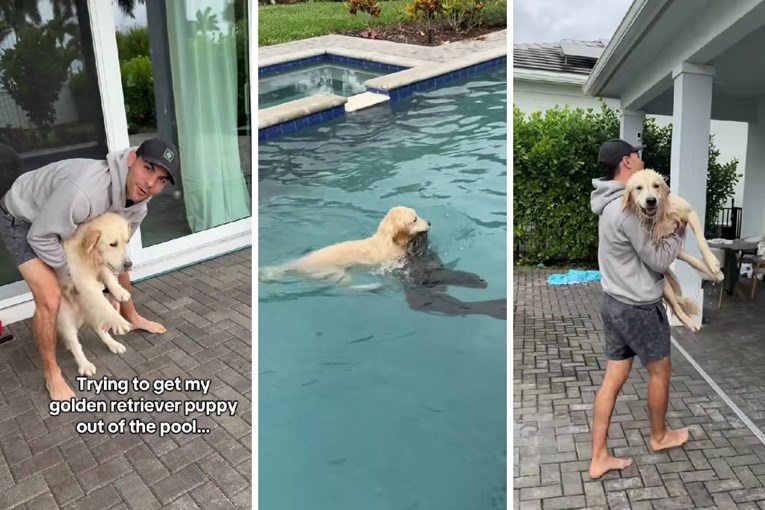 Vlasnik pokušava spriječiti psa da skače u bazen, viralni su na TikToku 😂