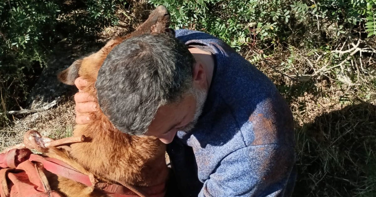 Vlasnik i pas upali u 20 metara duboku jamu na Dugom otoku. Spasio ih HGSS