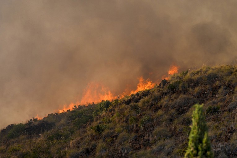 Katastrofalni požar u Španjolskoj. Najmanje 11 mrtvih, tisuće evakuirane