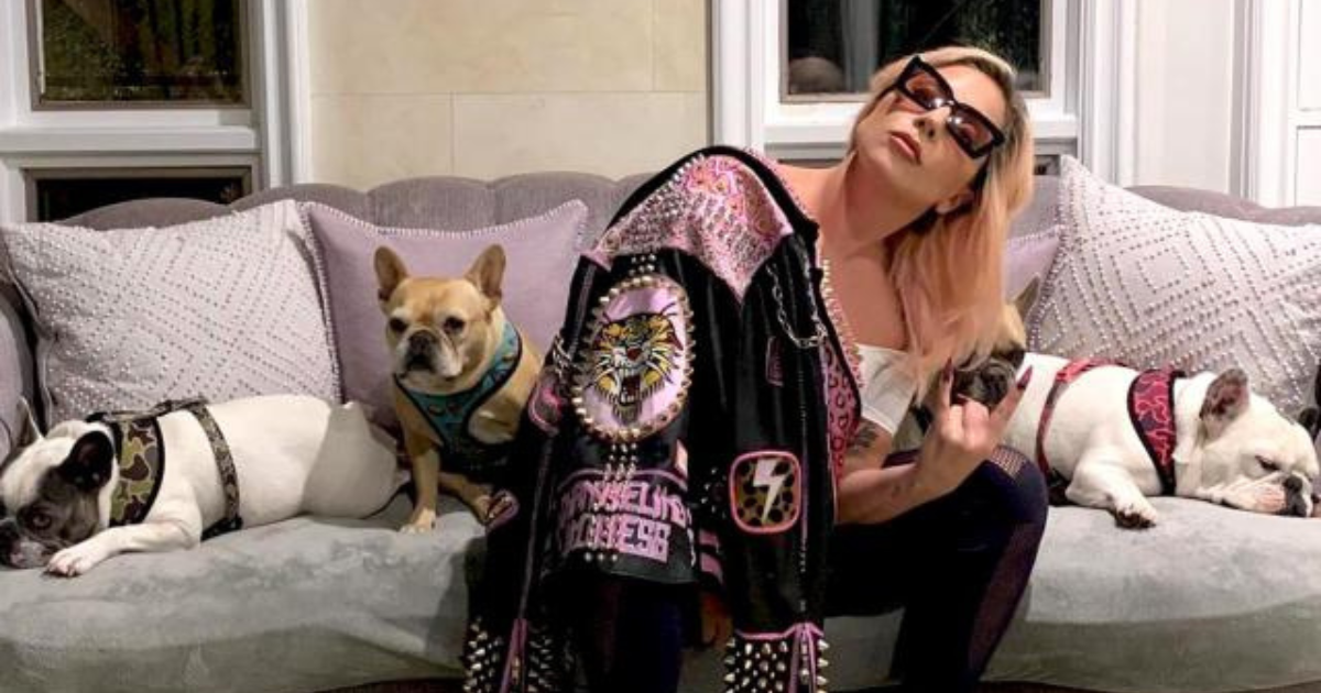 Žena koja je sudjelovala u krađi pasa Lady Gage tuži pjevačicu, razlog je neobičan