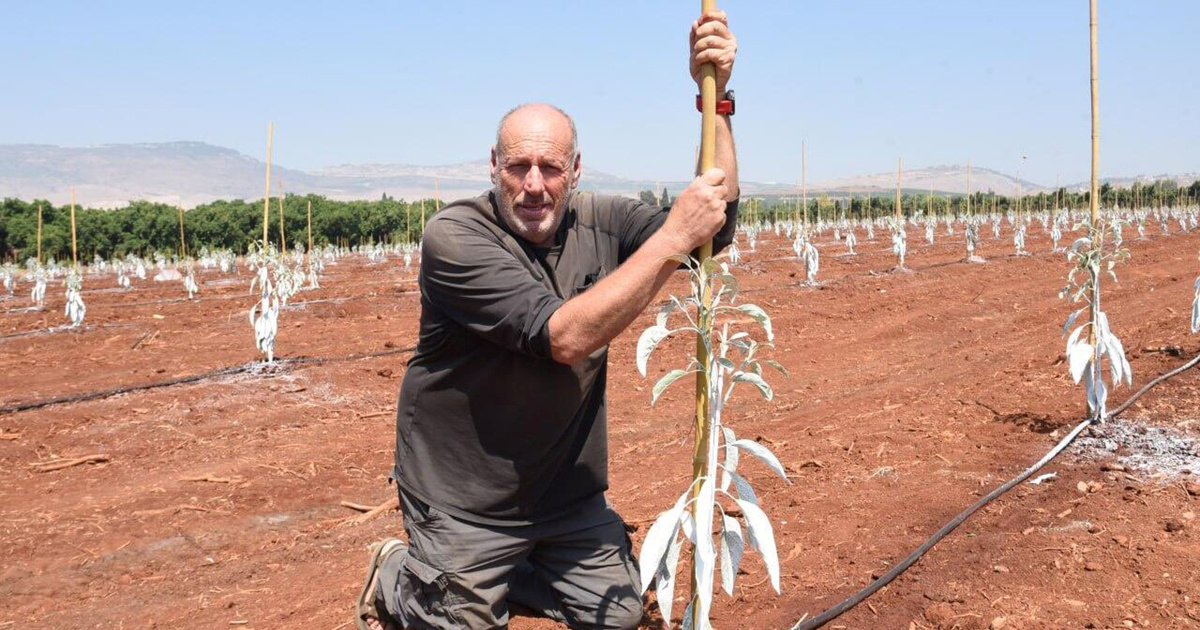 Izraelska vojska: Nije Hezbolah ubio farmera na sjeveru Izraela, nego mi