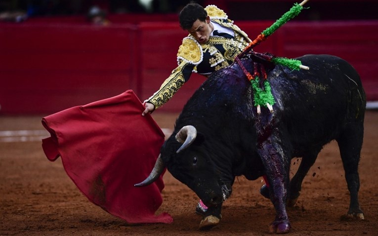 Meksički sud ukinuo zabranu, borbe s bikovima se vraćaju u najveću svjetsku arenu