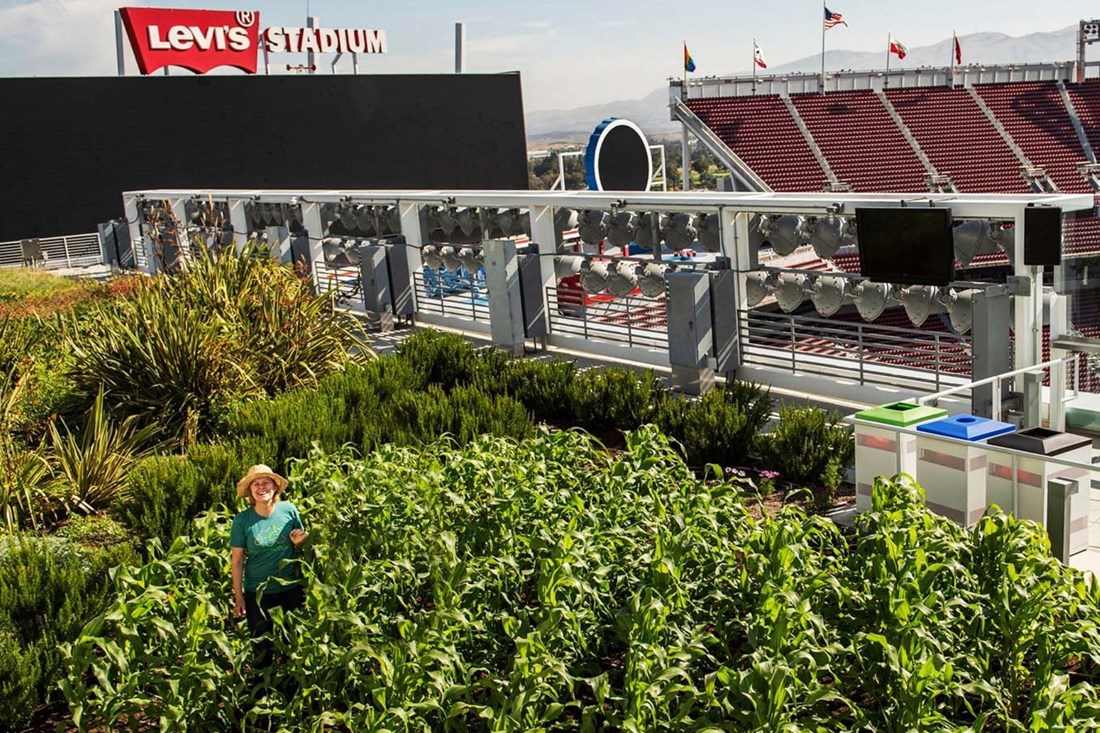 Super Bowl stadion ima organski vrt na krovu, namirnice korištene za pripremu jela