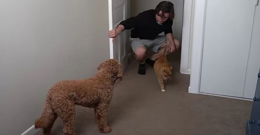 Pokušao je naučiti psa da se pokloni svaki put kad ugleda mačku, evo je li uspio