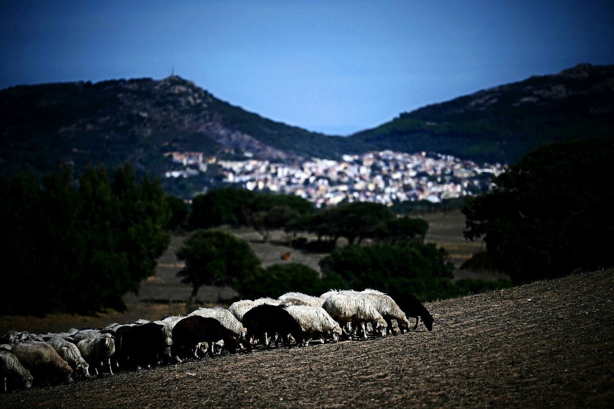 Na Sardiniji se kuće prodaju za 1 € jer nema ljudi. "Zadnje dijete rođeno prije 10 godina."