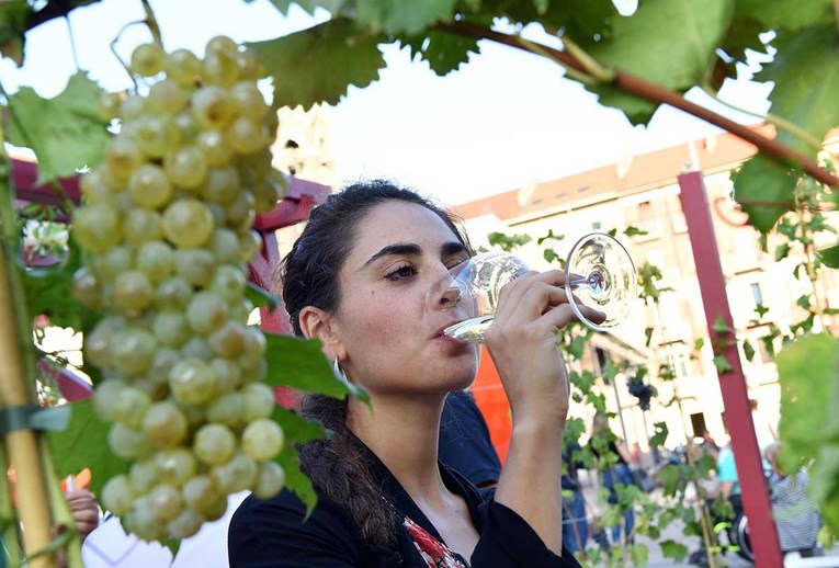 EU bi navodno vina razrjeđivala vodom da smanji udio alkohola. Talijani se pobunili
