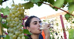 Talijani se bune zbog planova EU o mogućem razrjeđivanju vina vodom