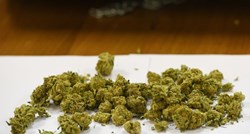 Kod mladog riječkog dilera nađeno skoro 600 grama marihuane, kokain i gljive