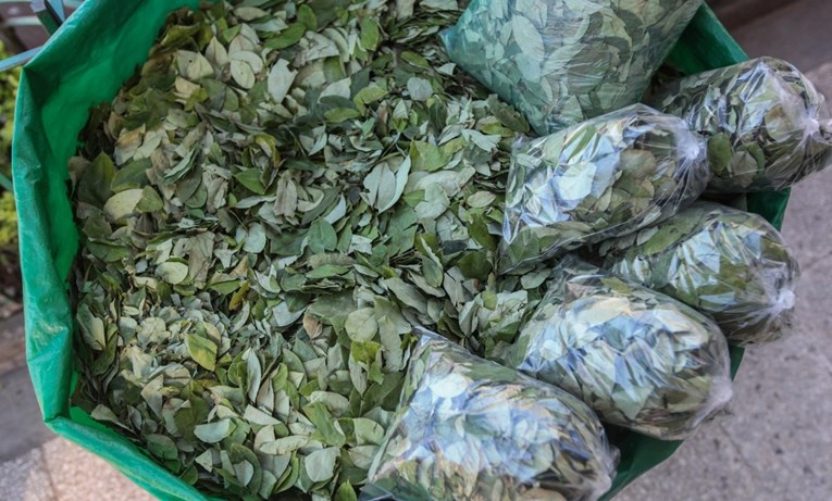 Bolivija zaplijenila 9.2 tone lišća koke iz Perua, to je rekord
