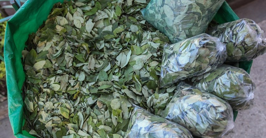 Bolivija zaplijenila 9.2 tone lišća koke iz Perua, to je rekord
