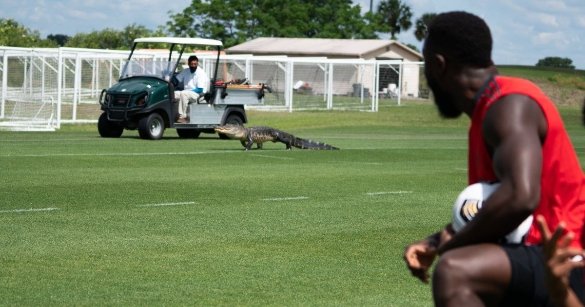 Aligator upao na trening. Talijanski novinar: Ma to je samo Brozović