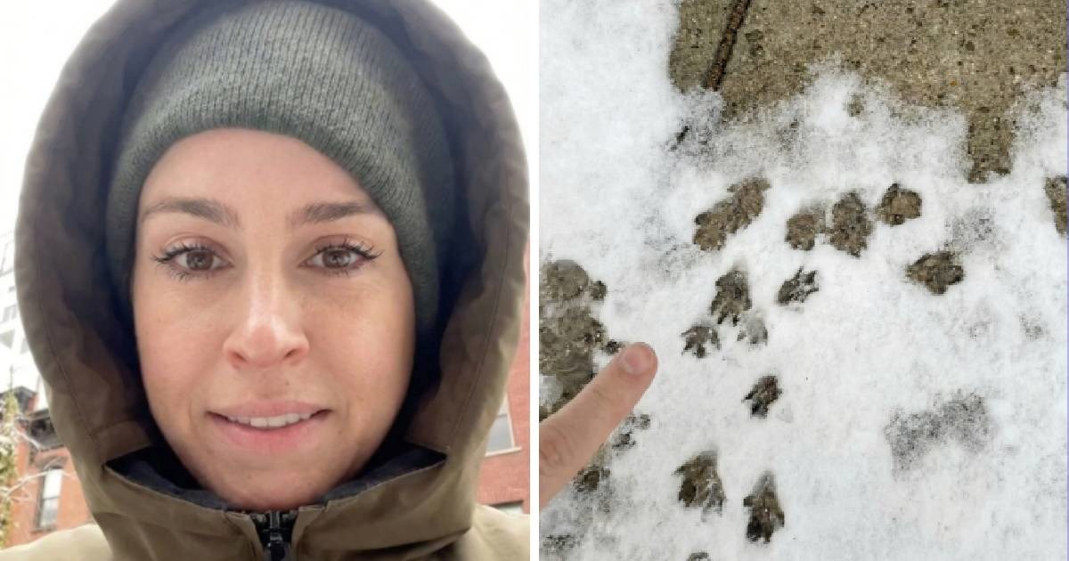Prošetala New Yorkom kad je pao snijeg, zgrozio je detalj: "Štakori vladaju gradom"