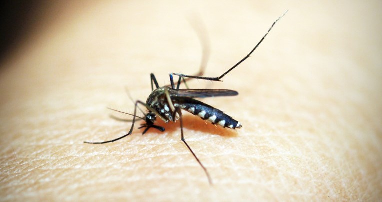 Ovo su znakovi da ste možda alergični na ubod komarca